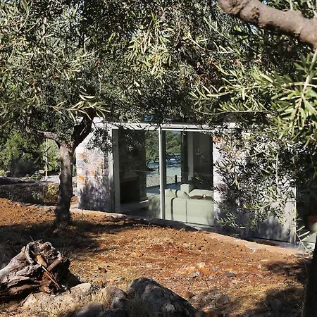 Villa South Alisseos